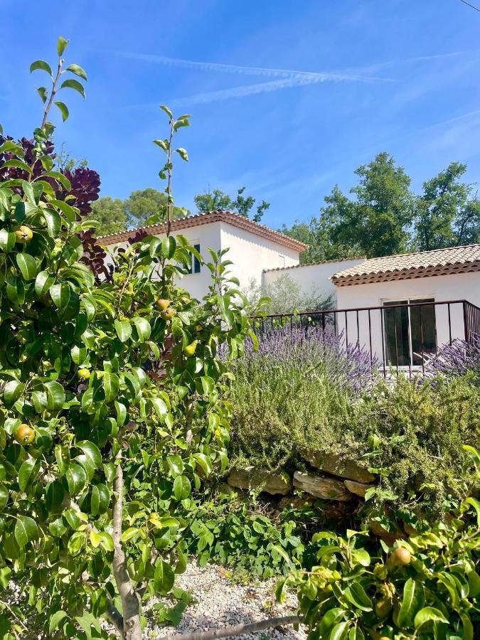 Superbe Villa Seillans La Grande Bastide Avec Piscine, Jardin, Climatisation Et Salle De Sport Exterior foto