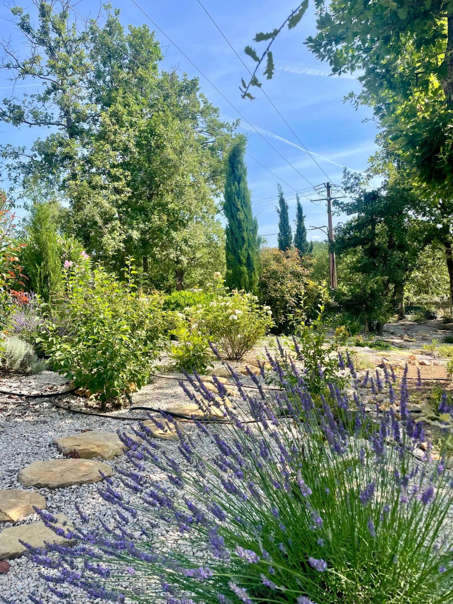 Superbe Villa Seillans La Grande Bastide Avec Piscine, Jardin, Climatisation Et Salle De Sport Exterior foto