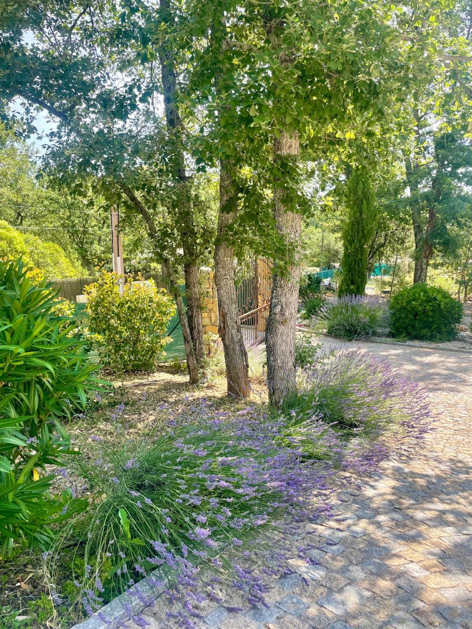 Superbe Villa Seillans La Grande Bastide Avec Piscine, Jardin, Climatisation Et Salle De Sport Exterior foto